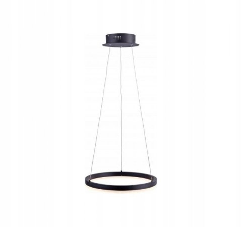 Lampa wisząca Paul Neuhaus 2381-13 czarna 40 cm