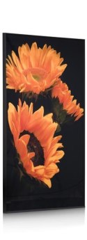 COCO MAISON Obraz szklany Sunflower 90x140cm
