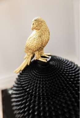 Kare Design Parrot