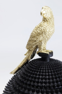 Kare Design Parrot