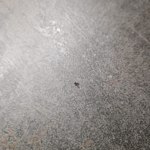 [M, od ręki DEFEKT#3] Największy stół rozkładany Pavalon 200-278x100 cm na centralnej nodze, blat Primo (HPL), kolor antracyt