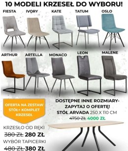 Zestaw stół Xooon Arvada 250 x 110 cm + komplet krzeseł