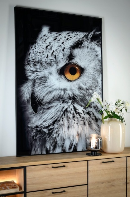 Wielkoformatowy Obraz Szklany SHARP PRINT 180 x 120 cm – Close-up Sowa – Designerska Rama – Coco Maison