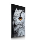 Wielkoformatowy Obraz Szklany SHARP PRINT 180 x 120 cm – Close-up Sowa – Designerska Rama – Coco Maison