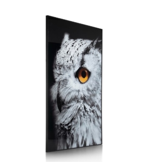 Wielkoformatowy Obraz Szklany SHARP PRINT 180 x 120 cm – Close-up Sowa – Designerska Rama – Coco Maison