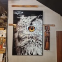 Wielkoformatowy Obraz Szklany SHARP PRINT 180 x 120 cm – Close-up Sowa – Designerska Rama – Coco Maison