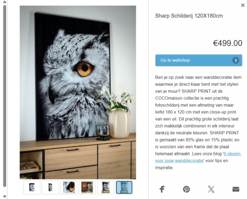 Wielkoformatowy Obraz Szklany SHARP PRINT 180 x 120 cm – Close-up Sowa – Designerska Rama – Coco Maison